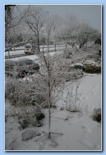 Arnhem Snow 032